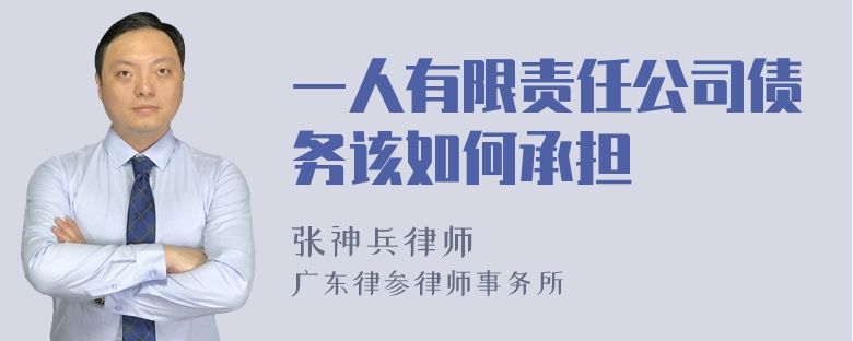 一人有限责任公司债务该如何承担