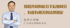 情侣共同购房分手后如何分，有没有相关的法律规定