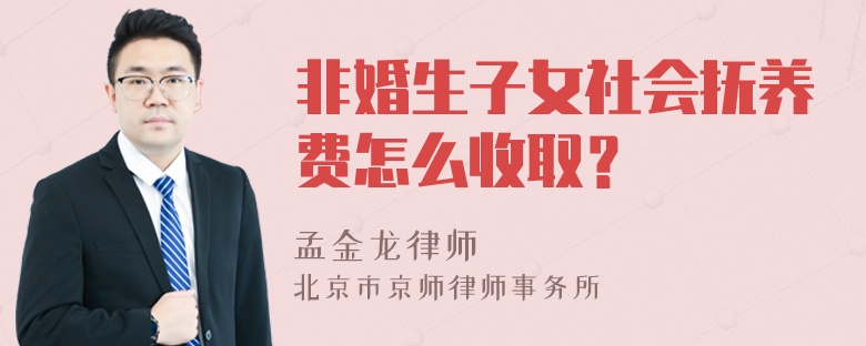 非婚生子女社会抚养费怎么收取？