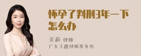 怀孕了判刑3年一下怎么办