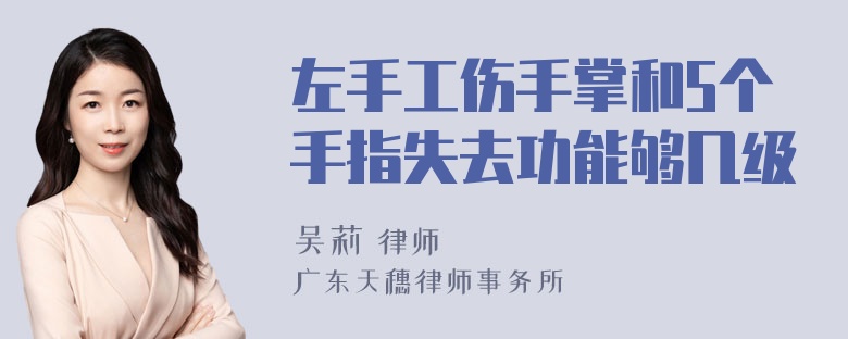 左手工伤手掌和5个手指失去功能够几级