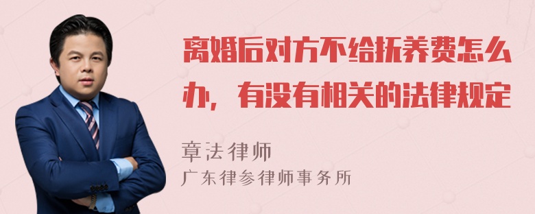 离婚后对方不给抚养费怎么办，有没有相关的法律规定