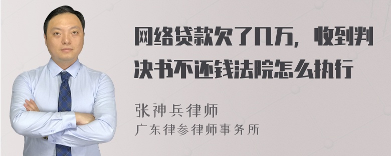 网络贷款欠了几万，收到判决书不还钱法院怎么执行