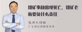 煤矿事故出现死亡，煤矿老板要负什么责任