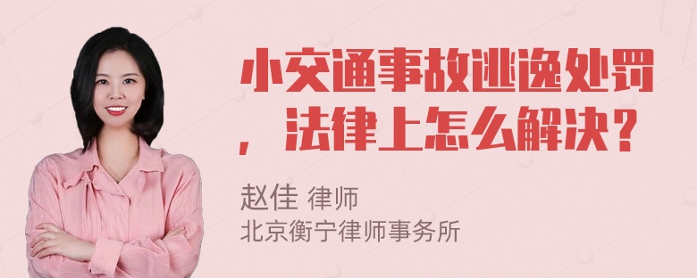 小交通事故逃逸处罚，法律上怎么解决？