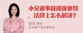 小交通事故逃逸处罚，法律上怎么解决？