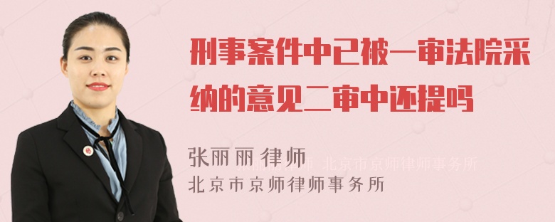 刑事案件中已被一审法院采纳的意见二审中还提吗