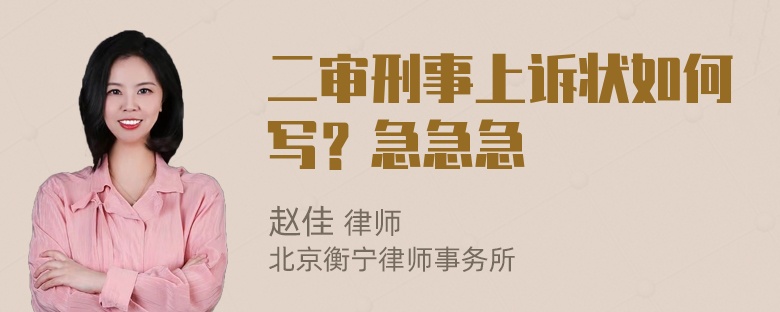 二审刑事上诉状如何写？急急急