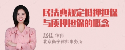 民法典规定抵押担保与质押担保的概念