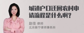 城镇户口迁回农村申请流程是什么啊？