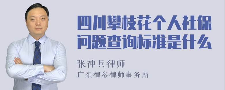 四川攀枝花个人社保问题查询标准是什么