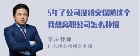 5年了公司没给交保险这个我想离职公司怎么补偿