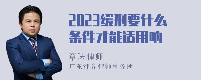 2023缓刑要什么条件才能适用呐