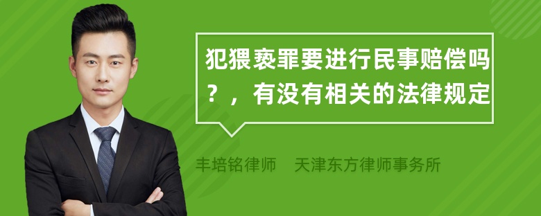 犯猥亵罪要进行民事赔偿吗？，有没有相关的法律规定