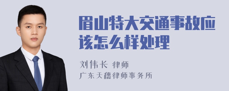 眉山特大交通事故应该怎么样处理