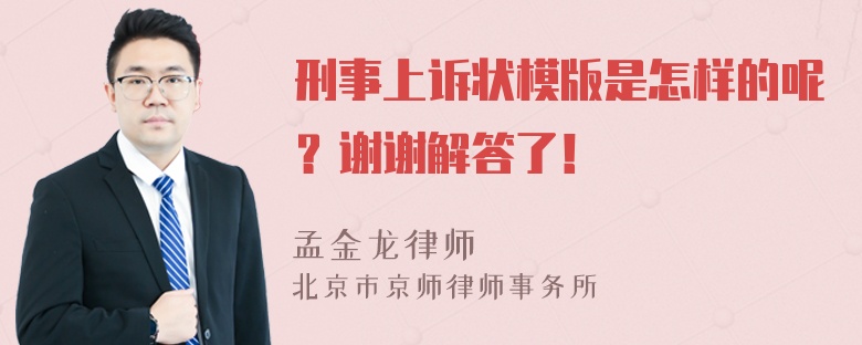 刑事上诉状模版是怎样的呢？谢谢解答了！