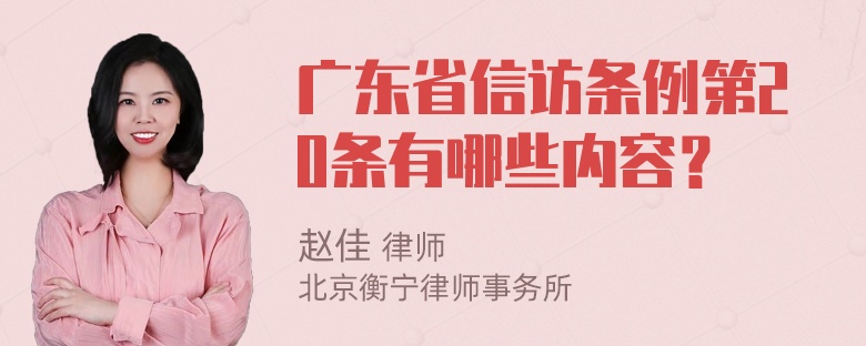 广东省信访条例第20条有哪些内容？