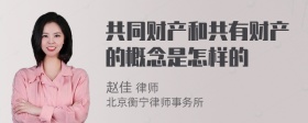 共同财产和共有财产的概念是怎样的