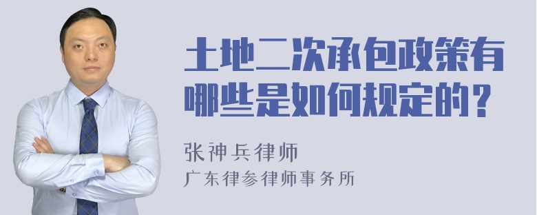 土地二次承包政策有哪些是如何规定的？