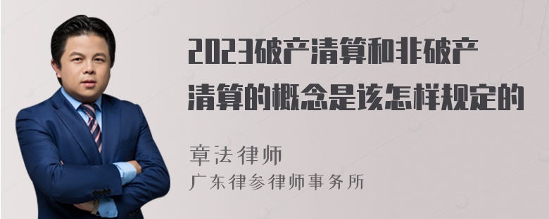 2023破产清算和非破产清算的概念是该怎样规定的