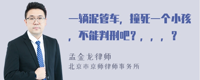 一辆泥管车，撞死一个小孩，不能判刑吧？，，，？