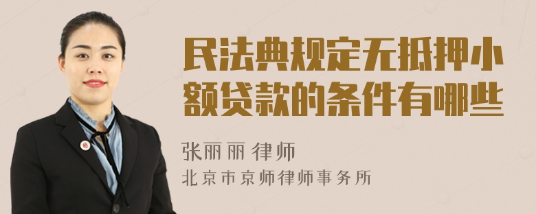 民法典规定无抵押小额贷款的条件有哪些