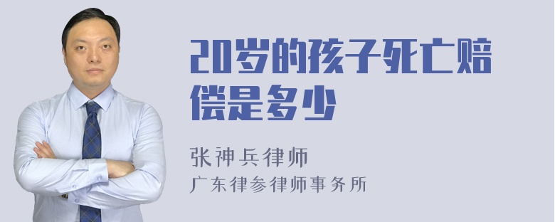 20岁的孩子死亡赔偿是多少