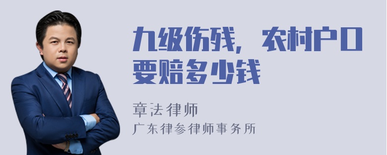 九级伤残，农村户口要赔多少钱