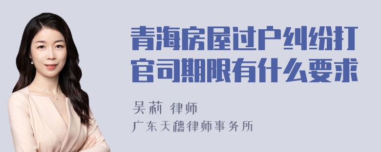 青海房屋过户纠纷打官司期限有什么要求