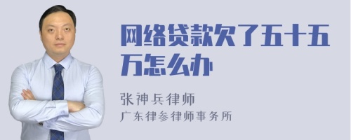 网络贷款欠了五十五万怎么办