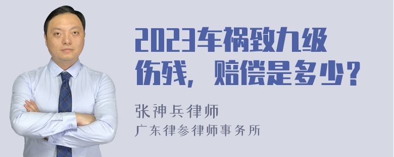 2023车祸致九级伤残，赔偿是多少？