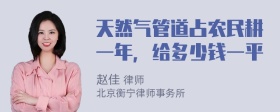 天然气管道占农民耕一年，给多少钱一平