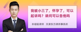 我被小三了，怀孕了，可以起诉吗？请问可以告他吗