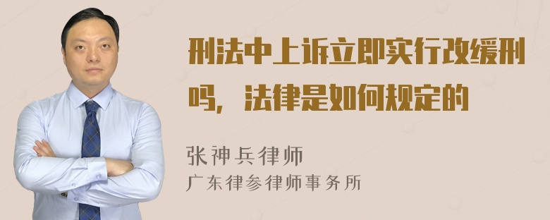 刑法中上诉立即实行改缓刑吗，法律是如何规定的