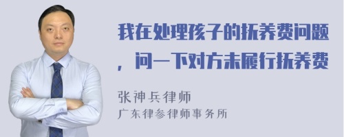 我在处理孩子的抚养费问题，问一下对方未履行抚养费