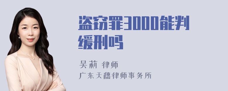 盗窃罪3000能判缓刑吗