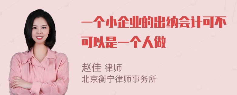 一个小企业的出纳会计可不可以是一个人做