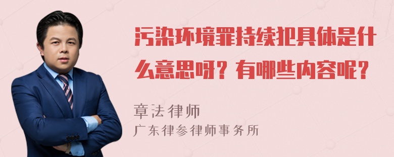 污染环境罪持续犯具体是什么意思呀？有哪些内容呢？