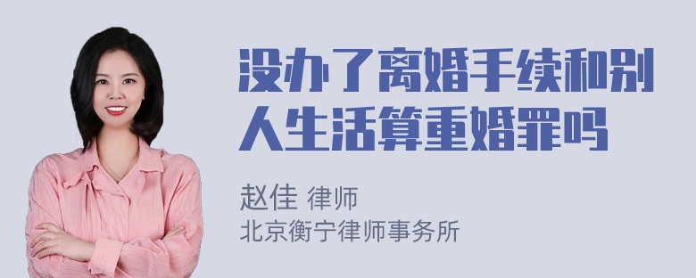 没办了离婚手续和别人生活算重婚罪吗