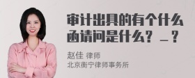 审计出具的有个什么函请问是什么？＿？