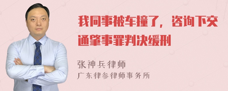 我同事被车撞了，咨询下交通肇事罪判决缓刑