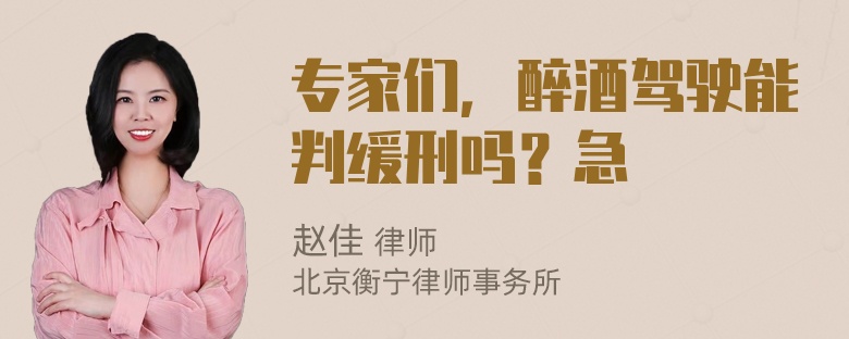 专家们，醉酒驾驶能判缓刑吗？急