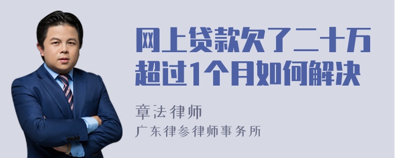 网上贷款欠了二十万超过1个月如何解决