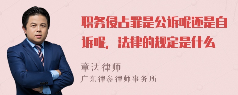 职务侵占罪是公诉呢还是自诉呢，法律的规定是什么