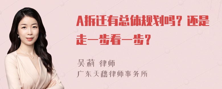 A拆迁有总体规划吗？还是走一步看一步？