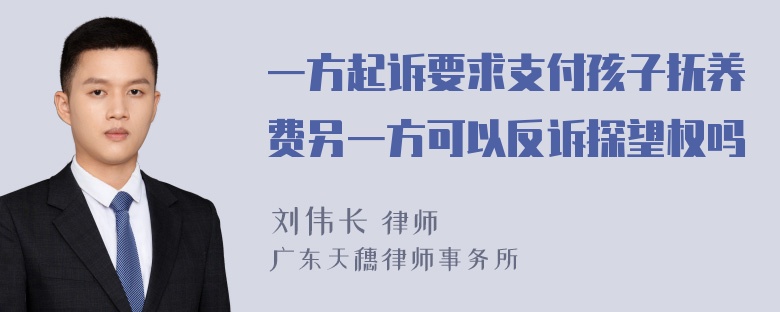 一方起诉要求支付孩子抚养费另一方可以反诉探望权吗