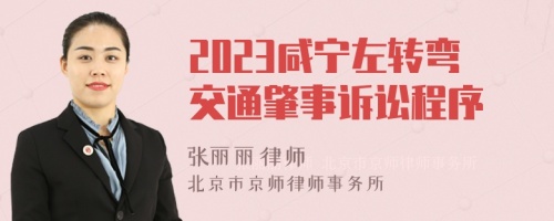 2023咸宁左转弯交通肇事诉讼程序