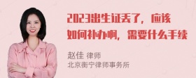 2023出生证丢了，应该如何补办啊，需要什么手续