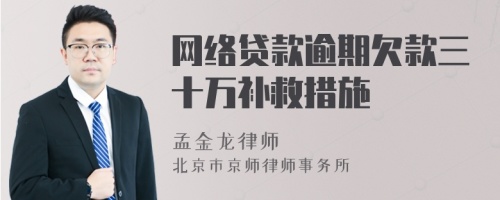 网络贷款逾期欠款三十万补救措施