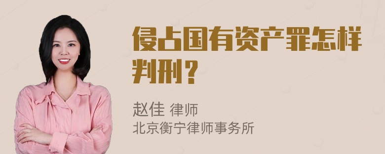 侵占国有资产罪怎样判刑？